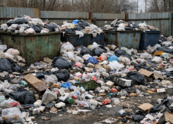 Суд наказал администрацию Борисоглебска за нечистоплотность 