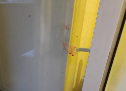 Пьяная ссора бывших возлюбленных привела к уголовному делу в Воронеже 