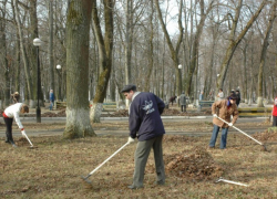 186 тысяч воронежцев своими силами убрали город