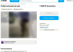 Профессиональный собутыльник с плотным графиком появился в Воронеже
