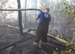 Спасатели сняли, как тушили крупный пожар под Воронежем