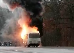 Бегство людей из горящего автобуса на воронежской трассе сняли на видео