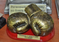 10 золотых медалей завоевали павловские боксеры на I воронежском региональном турнире «Основатель»