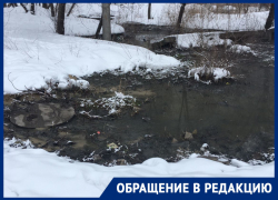 «Помогите!»: воронежец пожаловался нам и президенту на канализационный пруд 