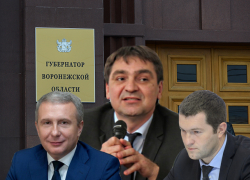 Кто настоящий политический вице-губернатор в Воронежской области