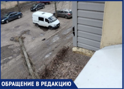 Балкон тяжелобольной пенсионерки разбило деревом в Воронеже 