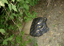 17 килограммов контрабандной ртути нашли в воронежском тайнике