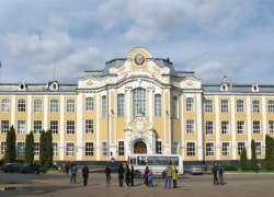 Жительницу Воронежа обманули с голосованием