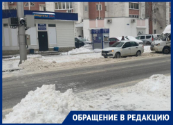 Стая собак набросилась на журналистку в центре Воронежа