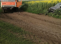 КамАЗ с легковушкой нарушили правила и столкнулись на подсолнуховом поле в Воронежской области 
