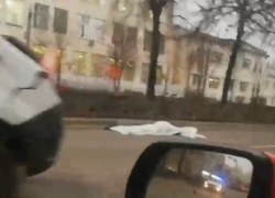 Подробности смертельного ДТП с микроавтобусом и пешеходом рассказала воронежская полиция 