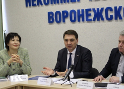 Воронежский депутат призвал с опережением спасать «шагреневую кожу»