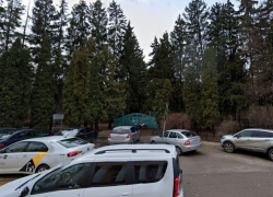 Дендрарий воронежского «лестеха» 57 лет назад стал памятником природы