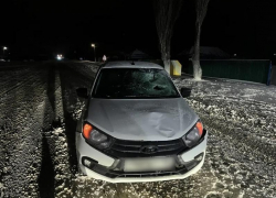 Обгон унес жизнь пожилого пешехода в воронежском селе 