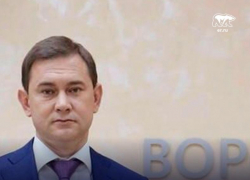 Воровским фоном пропиарила «Единая Россия» Владимира Нетесова