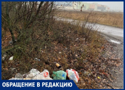Лес-свалку около сити-парка «Град» запечатлели на фото воронежцы