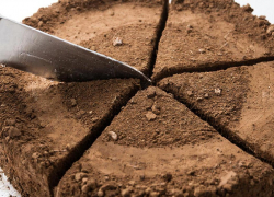 Занижение цены и распил: скандал с земельными участками под Воронежем дошел до суда