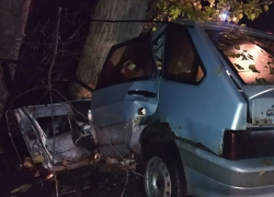 Водитель «четырки» погиб при столкновении с деревом в Воронежской области 
