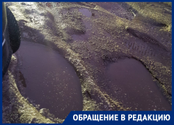 Двор, дырявый, как сыр, и ледяной, как Нифльхейм, показали в Воронеже