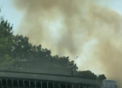 Стали известны подробности о двух ландшафтных пожарах на территории Воронежа 