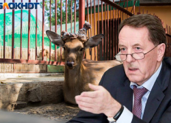 Над сохранением охотничьих животных задумался воронежский экс-губернатор Гордеев
