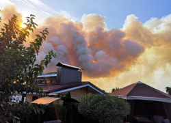 Дома и леса снова начали гореть в Воронежской области