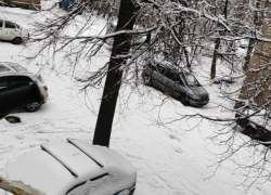 Деревья упадут в квартиры: проблемный двор показали в Воронеже