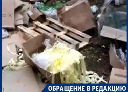 Воронежский лес превратился в мусорку с неприятным запахом ацетона
