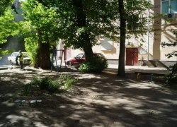 Деревца в центре Воронеже памяти подводника с "Курска" могут помешать Мариинской гимназии