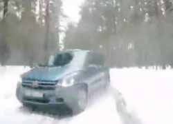 Момент лобового ДТП от первого лица сняли в воронежском лесу