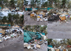 Фотографиями заваленной площадки 300 кубами мусора поделились воронежцы