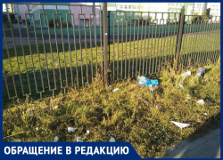 На стихийную свалку около элитной школы пожаловались воронежцы