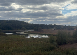 О покушении на очередное уникальное озеро сообщили в воронежском минприроды