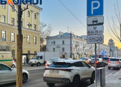 Поднять цену на платные парковки в центре Воронежа предлагают в мэрии