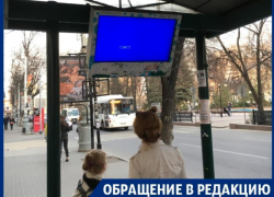 Убитые мониторы на остановках в мэрии Воронежа назвали негативным опытом