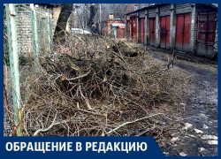 Из нашего двора коммунальщики сделали мусорку! – воронежцы с проспекта Труда