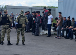 Миллионы рублей потратят на билеты в один конец для воронежских нелегалов 