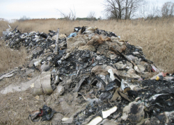 В Воронежской области нашли несанкционированную свалку 