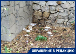 Бутылками из-под водки забросали воронежцы городской парк 