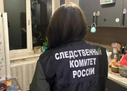 Горе-мать лишили родительских прав после истязания годовалого сына в Воронеже 