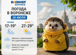 Грозовой финал июля: какая погода ждет Воронеж в ближайшие дни?