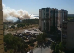 Мощный лесной пожар подбирается к жилым домам в Воронеже