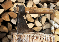 Мэрия Воронежа оштрафует «Выбор» за яблони, убитые сверх плана