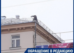 В центре Воронежа снег с крыши чистят на головы прохожих 