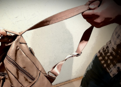 Грабитель убегал долой, роняя ноутбуки из-под кофты, но хозяева воронежского дома все же настигли его 