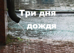 Три дня дождя нагрянут в Воронеж 