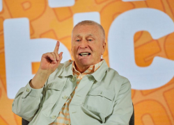 Цена на аукционе за нововоронежскую Аленку взбесила Владимира Жириновского