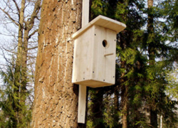 В Воронежской области школьники повесили в зоопитомнике скворечники и кормушки