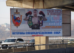 В Воронеже школьники встретятся с чемпионами мира по разным видам спорта 