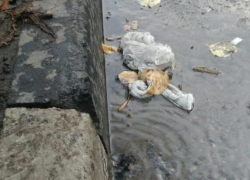 Воронежцы ждут катастрофы от бьющей из-под асфальта воды